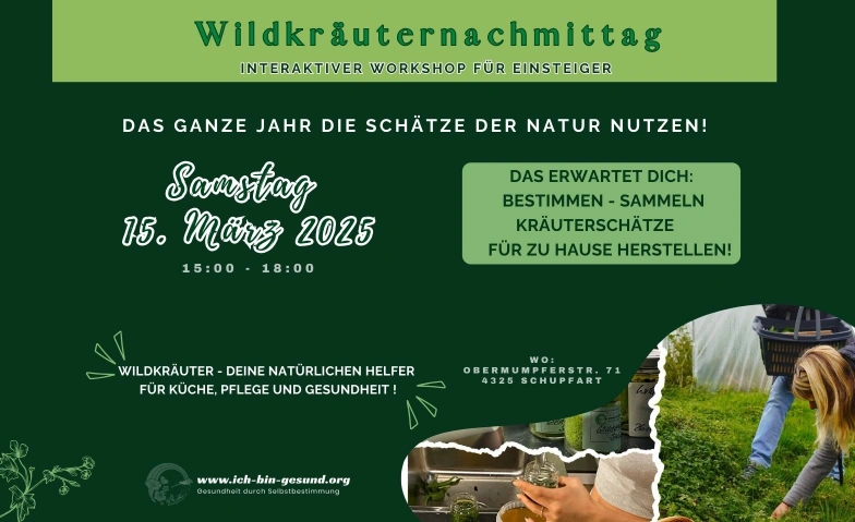 Wildkräuternachmittag für Anfänger - "Start in den Frühling" ich-bin-gesund Zentrum, Obermumpferstr. 71, 4325 Schupfart, Obermumpferstrasse 71, 4325 Schupfart Tickets