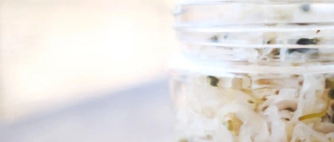 Event-Image for 'Fermentationswerkstatt &ndash; Wildkr&auml;uter Edition'