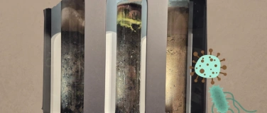 Event-Image for 'Flaschengeister &ndash; Mikroorganismen in Aktion'