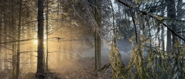 Event-Image for 'Patrozinium St. Paul und Celtic Soul'