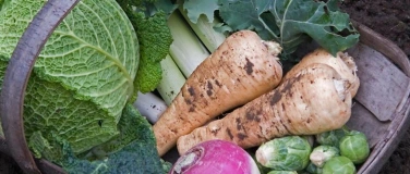 Event-Image for 'Wintergemüse für den Balkon und Garten'