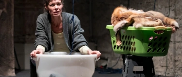 Event-Image for 'Zum Beispiel W&ouml;lfe'