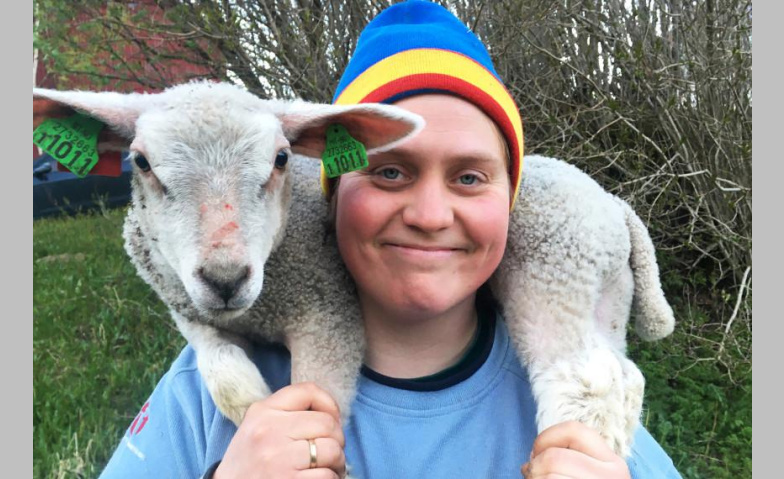 Event-Image for 'Woolly – Schaf Dir das Glück'