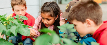 Event-Image for 'Workshop: «Ab in den Schul- und Kitagarten, aber wie?»'