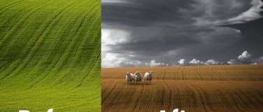 Event-Image for '33 Photoshop Skillburst   -  Kathrin Federer'