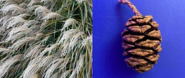 Event-Image for 'Workshop - Adventskranz binden #2'