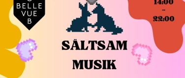 Event-Image for 'S&auml;ltsam Musik Valentinesrave'