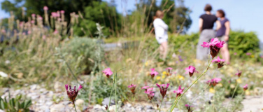 Event-Image for 'Wo Vielfalt Wurzeln schl&auml;gt'