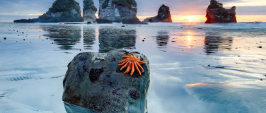 Event-Image for 'Wunderwerk Natur - Explora Live Reportage'