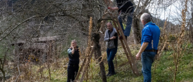 Event-Image for 'WWF-Kurs - Obstbäume schneiden für Fortgeschrittene'