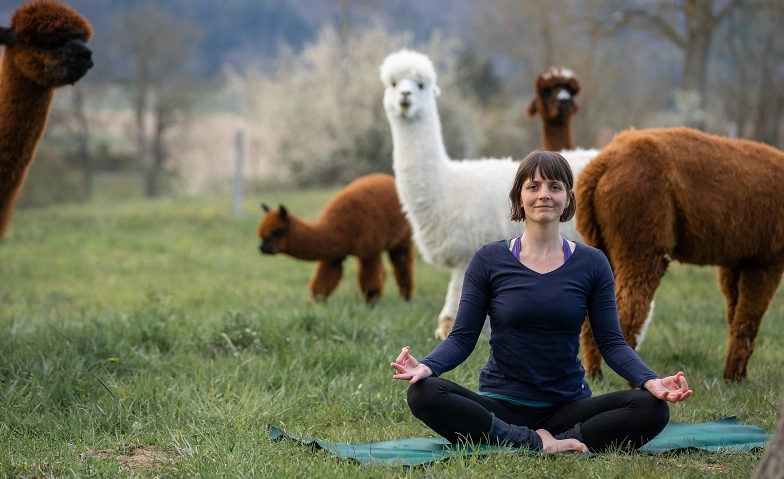 Yoga inmitten Alpakas, B&uuml;ron ${singleEventLocation} Billets