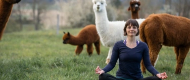 Event-Image for 'Yoga inmitten Alpakas'