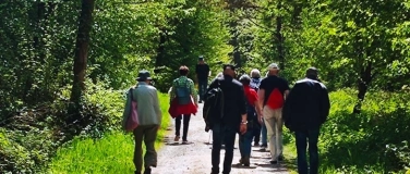 Event-Image for 'Zäme go Laufe 60+   Soli  4,2 km Orange Tour'