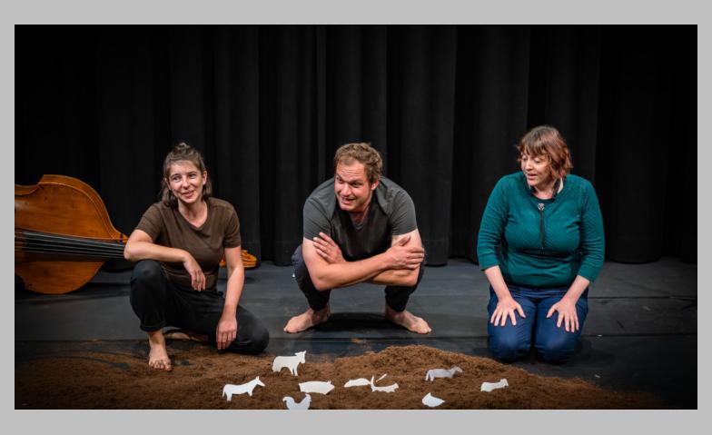 Zita bimmelt - Wieso ich? Eisenwerk, Frauenfeld Billets