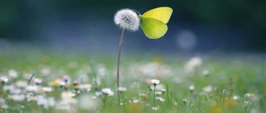 Event-Image for 'Tanz-Workshop: Reconnect'