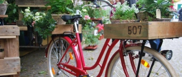 Event-Image for 'ProSpecieRara-Zierpflanzenmarkt'