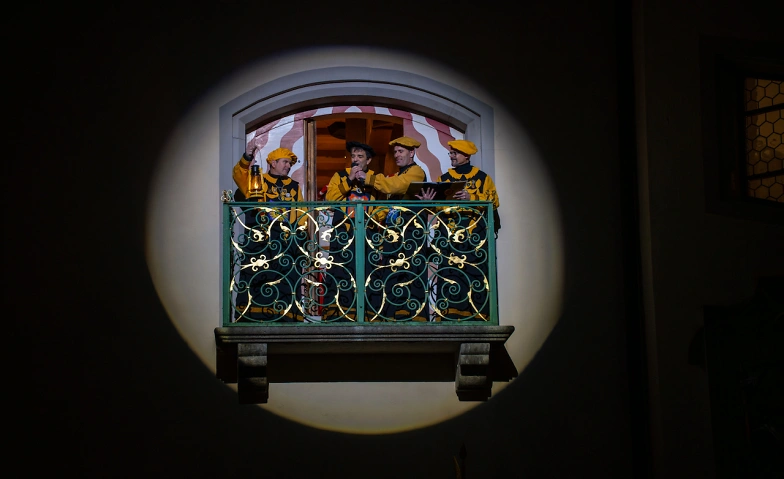 Event-Image for 'EIN Z&Uuml;NFTIGER EINBLICK, &laquo;z&uuml;nftig - 150 Jahre Zunft Heini von'