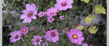 Event-Image for 'Zuk&uuml;nfte schreiben - Labor f&uuml;r neue Welten'